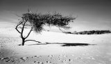 Photo Featured in Exhibition